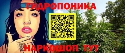 твердый Тара