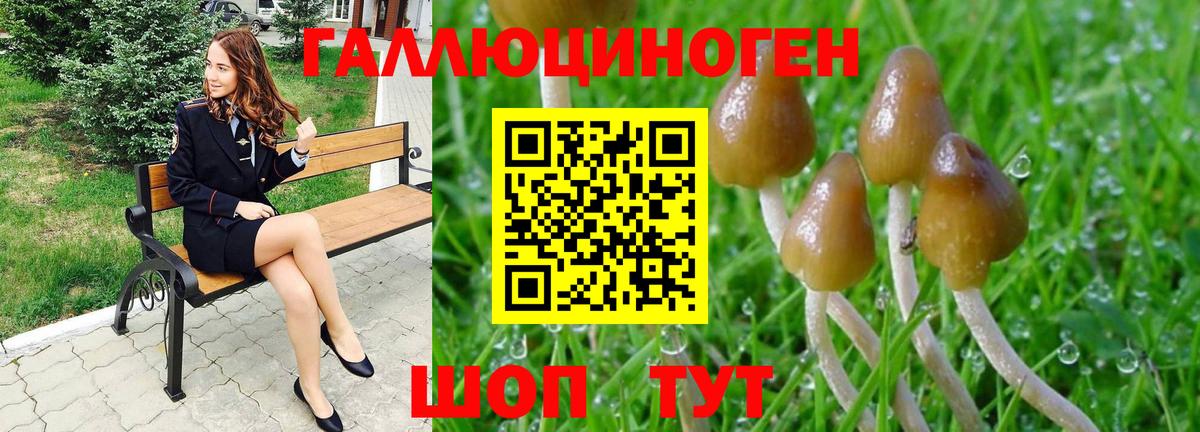 Асбест  Псилоцибиновые грибы Psilocybe  Вход с VPN 
